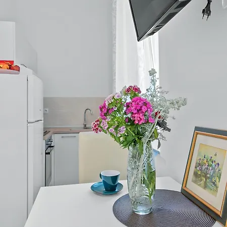 Mima Center Balcony 5 - Rent Rijeka