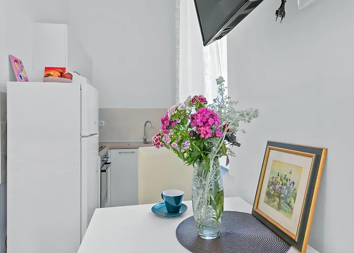Mima Center Balcony 5 - Rent Rijeka